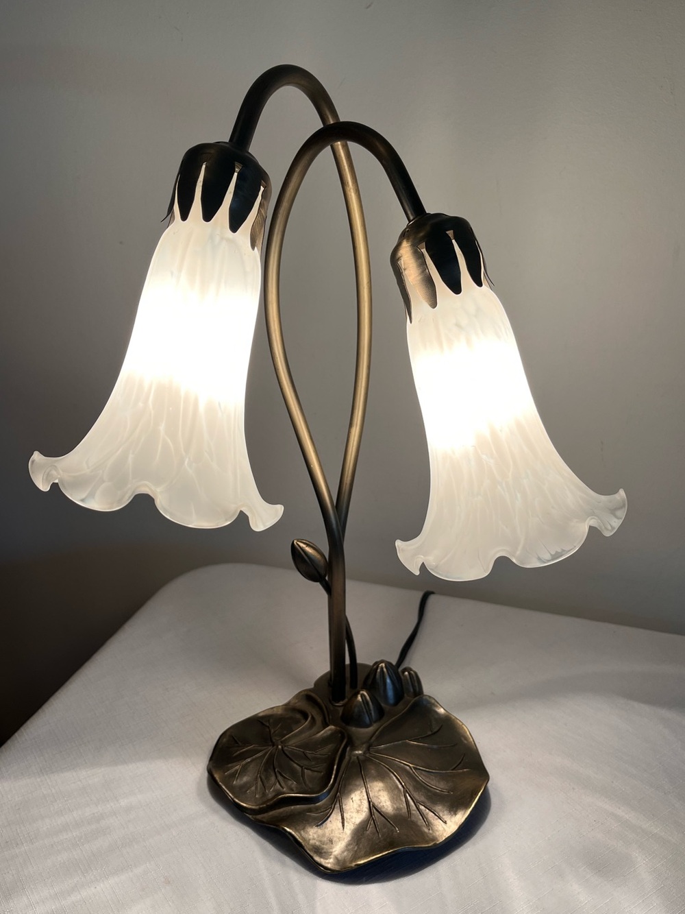 Tiffany-style 2-light pond lily table lamp 
 glass shades, bronze finish base